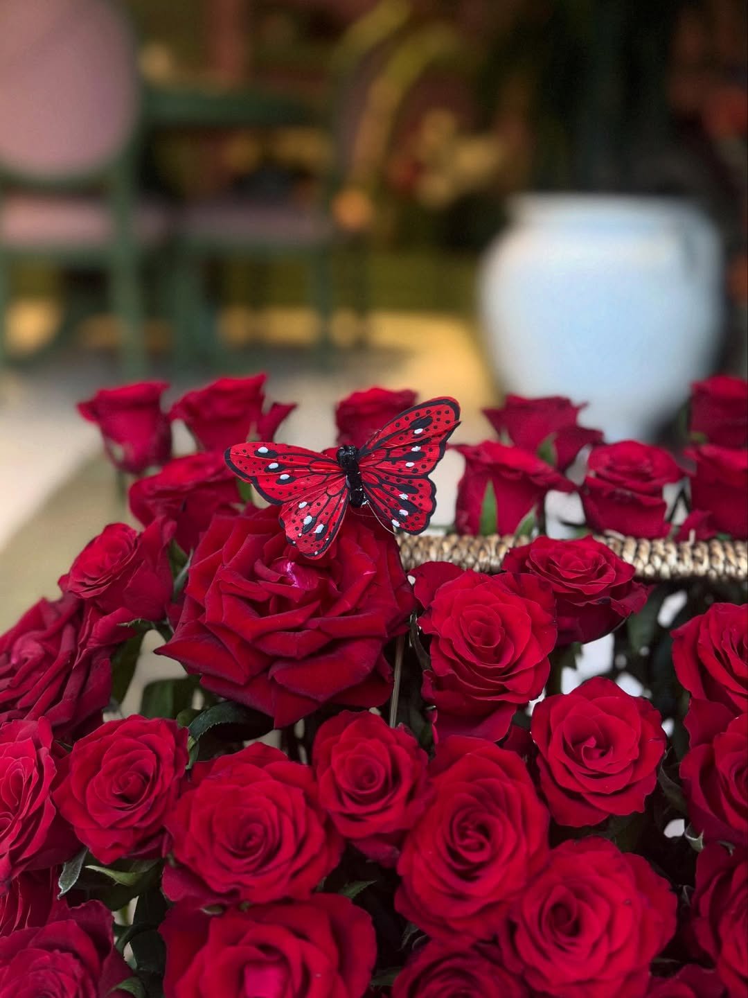 Güller – Bursa gül buketi kataloğu