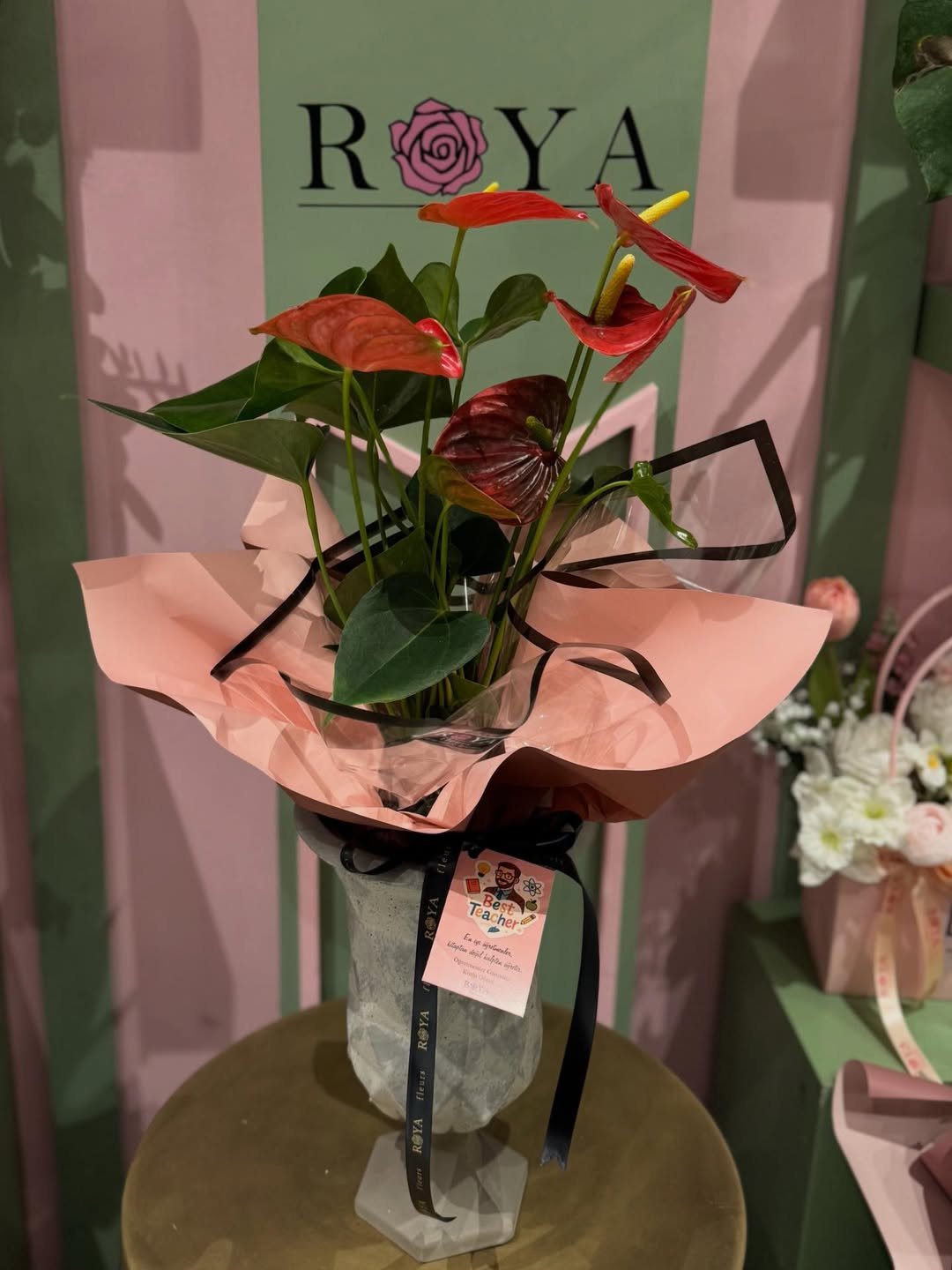 Antoryum saksı – Bursa teslimat