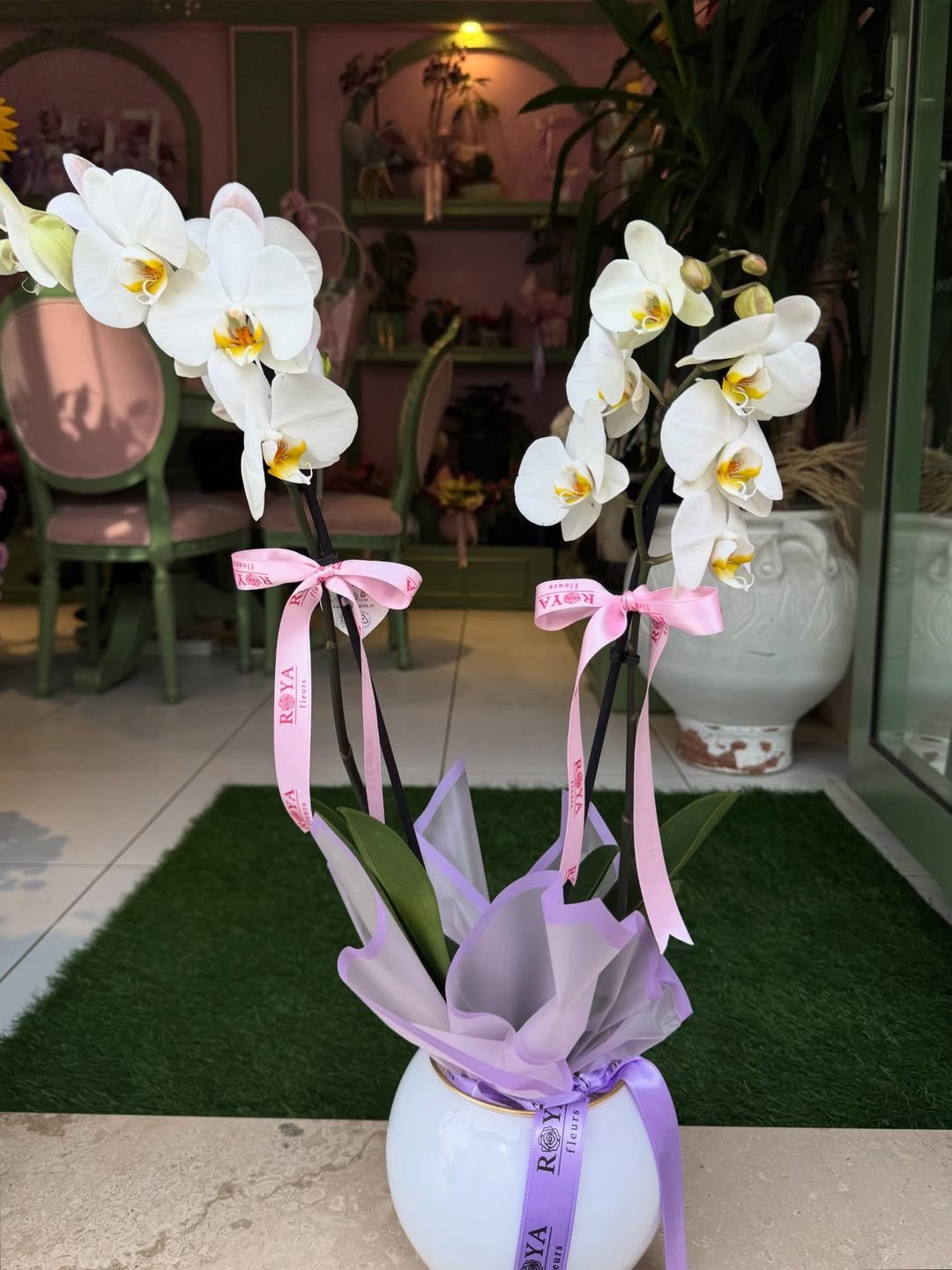 Beyaz orkide saksı görünüm 2